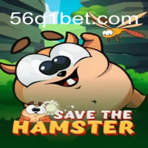 56Q1.COM Transmissão ao vivo